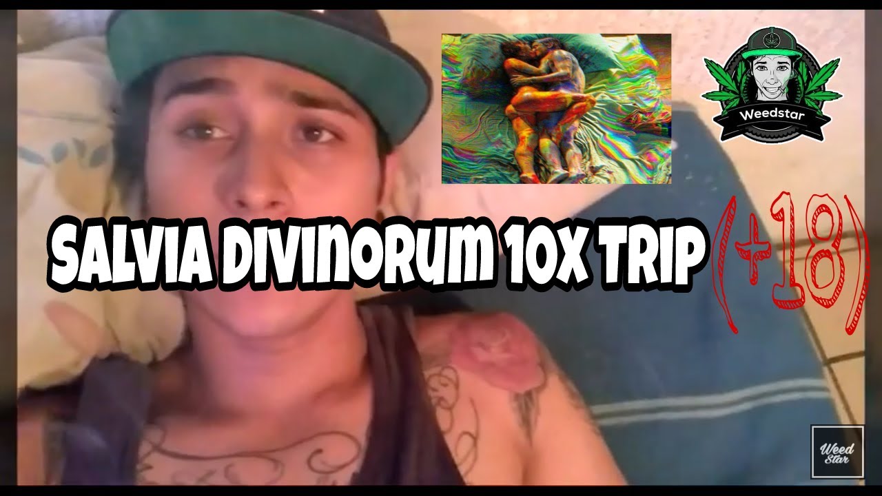Salvia Divinorum 10x Tr&iacute;p WeedStar (+18) Mi Tercera Vez