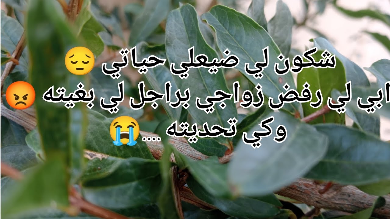 خطبني وماقبلش أبي 😭ڨالي أهربي معايا 😰لكن ماتوقعتش لي صرالي 😱