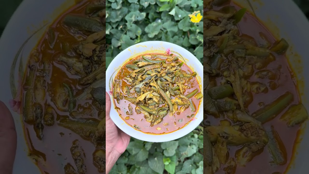 বাপের বাড়ি এসে তরতাজা সবজী দিয়ে নদীর চিংড়ি মাছ রান্না করে খাওয়ালো মা।