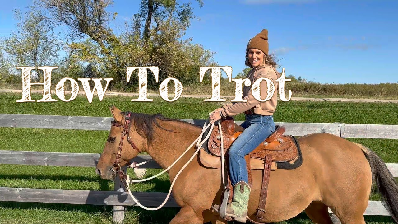 Lesson 5: How To Trot (Do's and Don'ts)