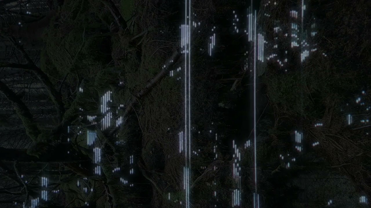 LIII d1x17