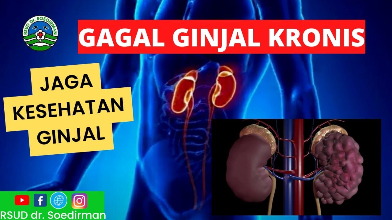 GAGAL GINJAL KRONIS