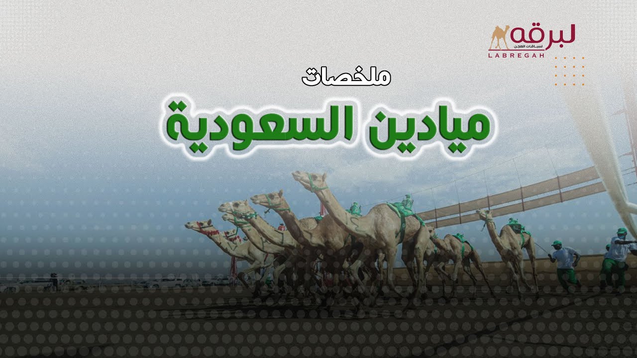 ملخص أشواط اللقايا المفتوحة والعامة (مهرجان خادم الحرمين الشريفين) ميدان الجنادرية - مساء 26-01-2026