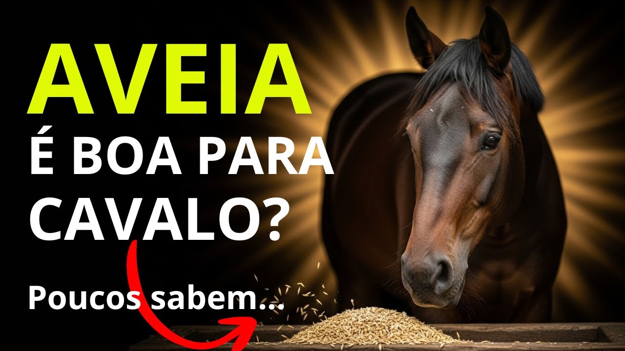 O que a MAIORIA das Pessoas NÃO SABE sobre a AVEIA para CAVALOS e um fato sobre o CAPIM de AVEIA