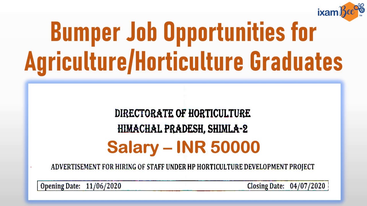 Jobs for Agriculture, Horticulture & All graduates | Salary 50k per month| Deptt. of Horticulture,HP