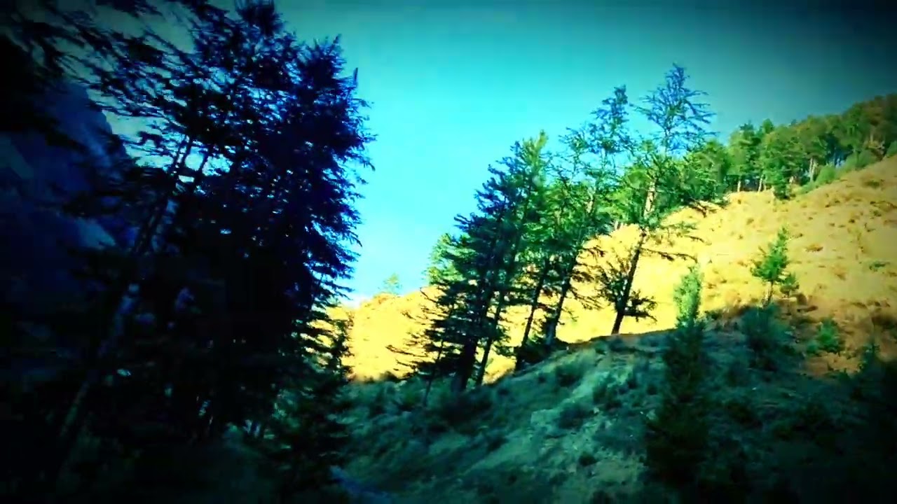@InspiringBharat1 @DilSeKishtwar @riprik @OfficialPunjabiindustry