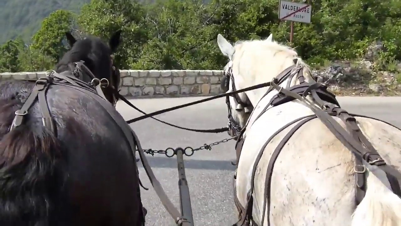 Balade en calèche
