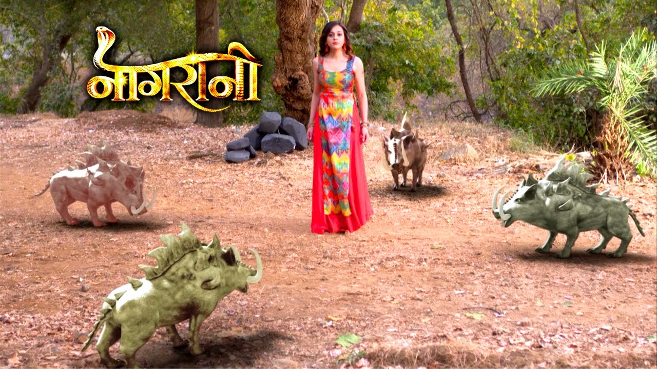 इच्छा कैसे इन खतरनाक सूअरों से अपनी जान बचाएगी? | Naagrani Episode 109