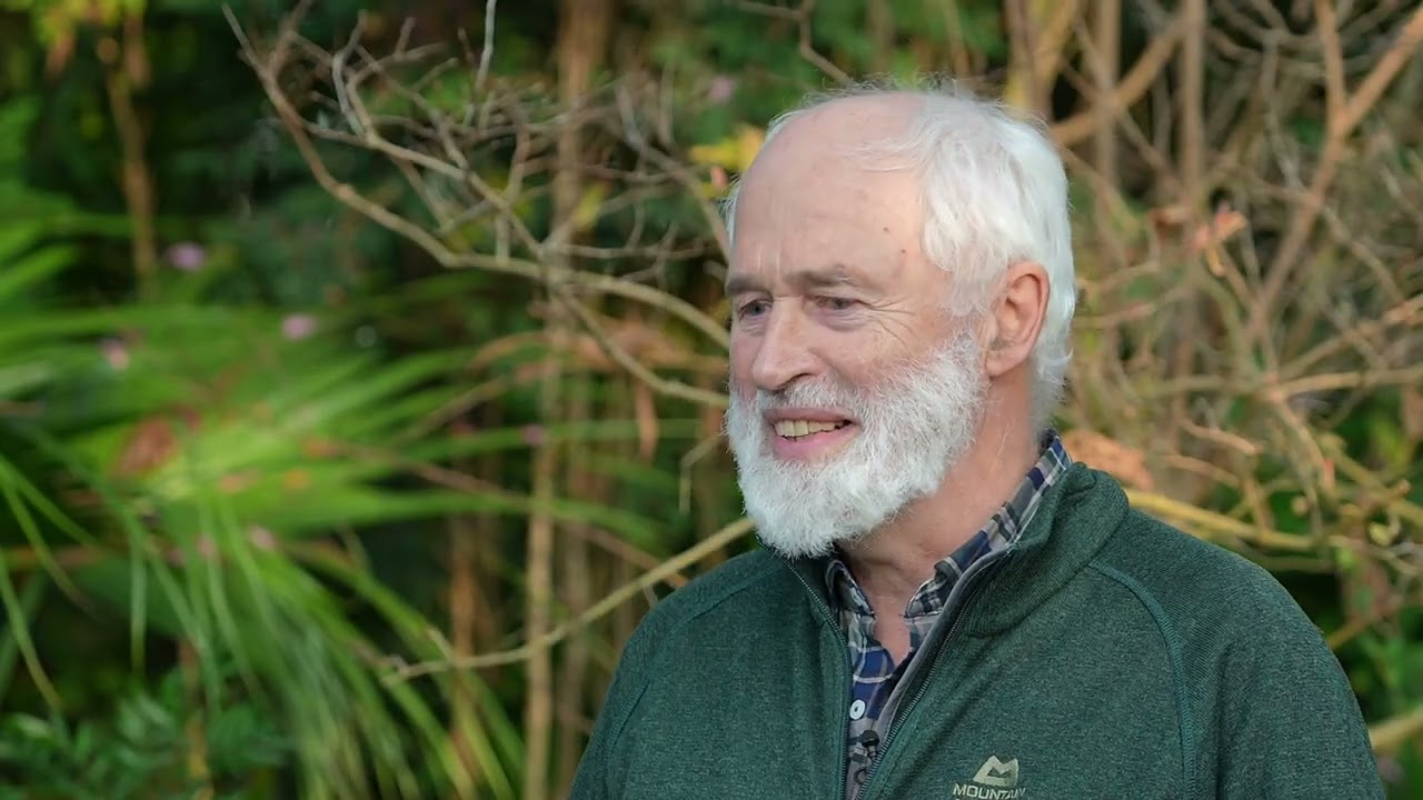 Wildbienen wild vernetzt, Teil 7: Interview mit Prof. Lunau