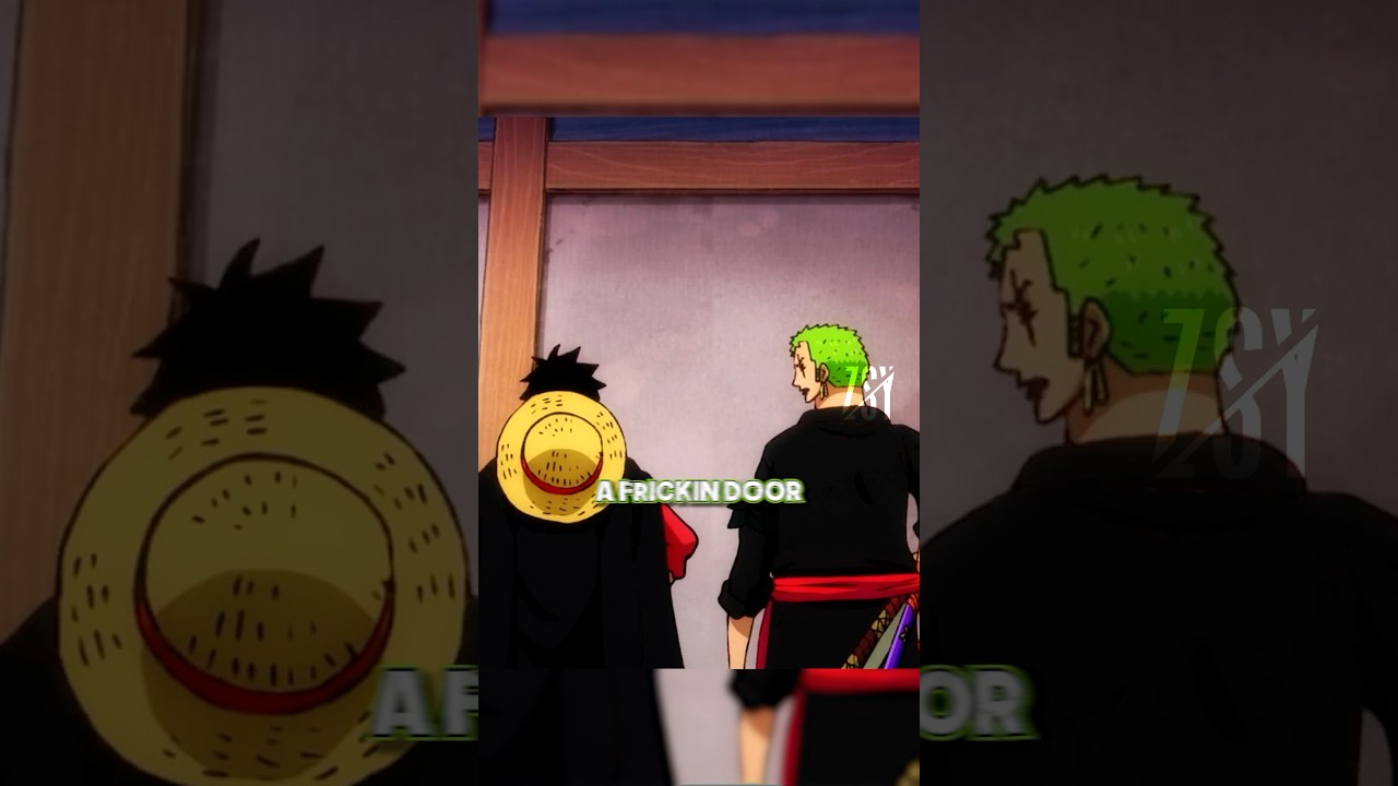 Zoro and Luffy share a single brain cell 😂