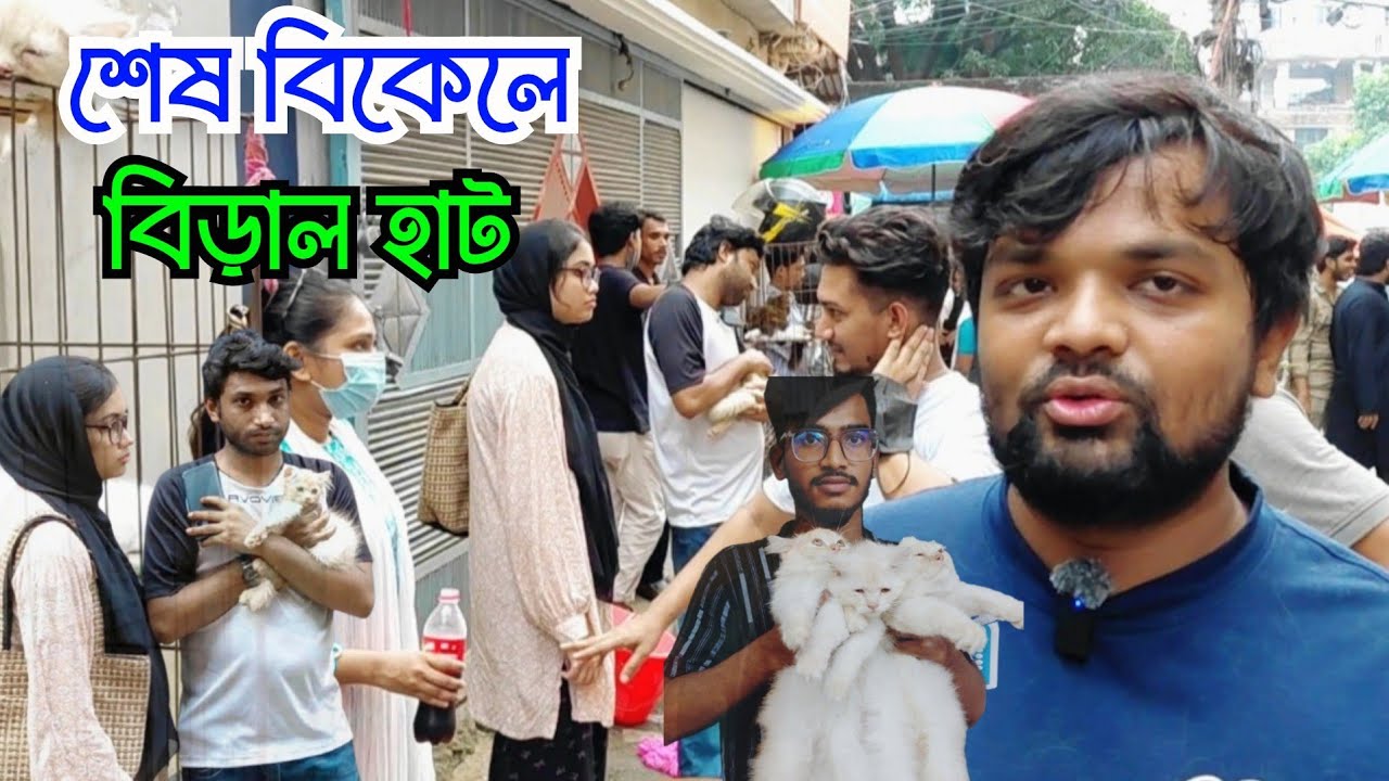শেষ বিকেলে পার্সিয়ান বিড়ালের হাট || মিরপুর ১ বিড়াল হাট || Persian cat price || Mirpur 1 cat market