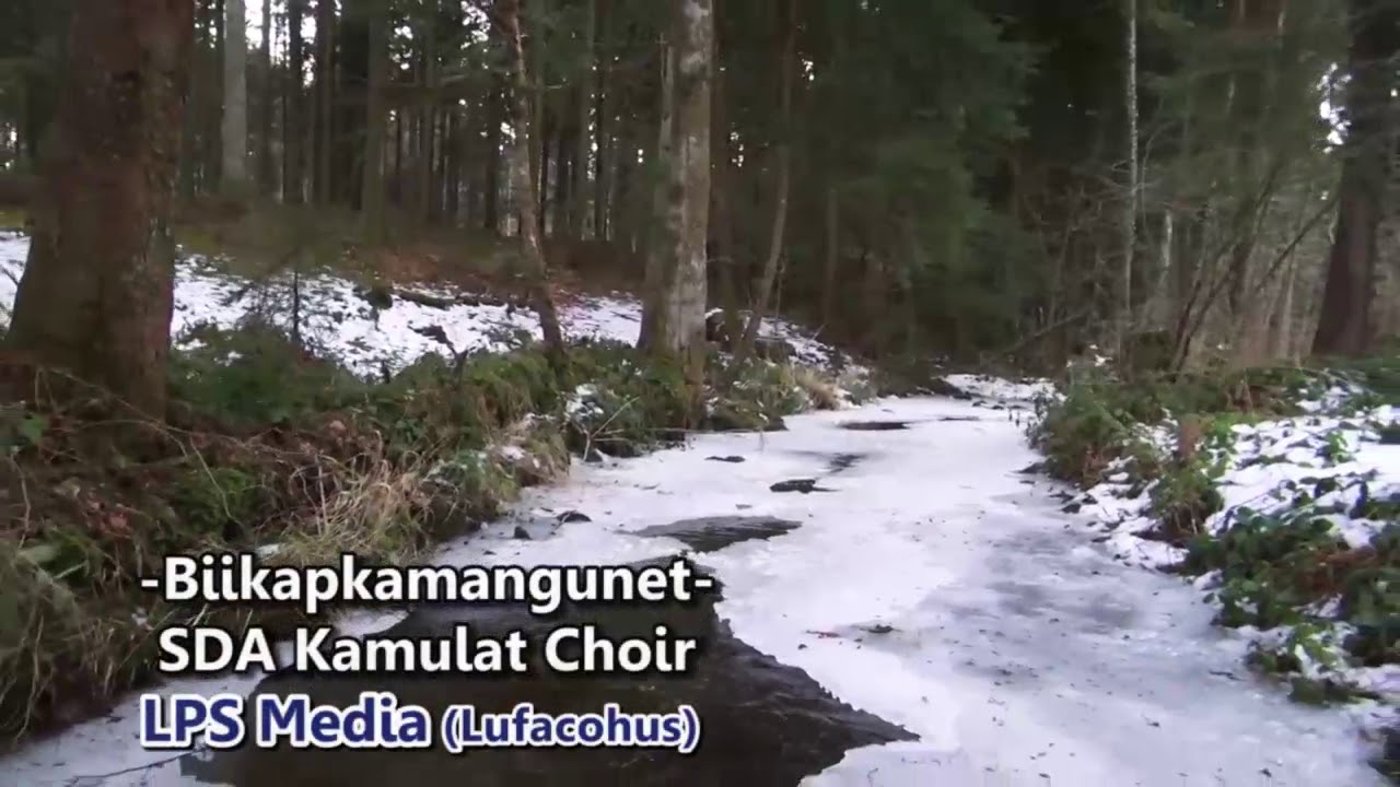 Biikapkamangunet