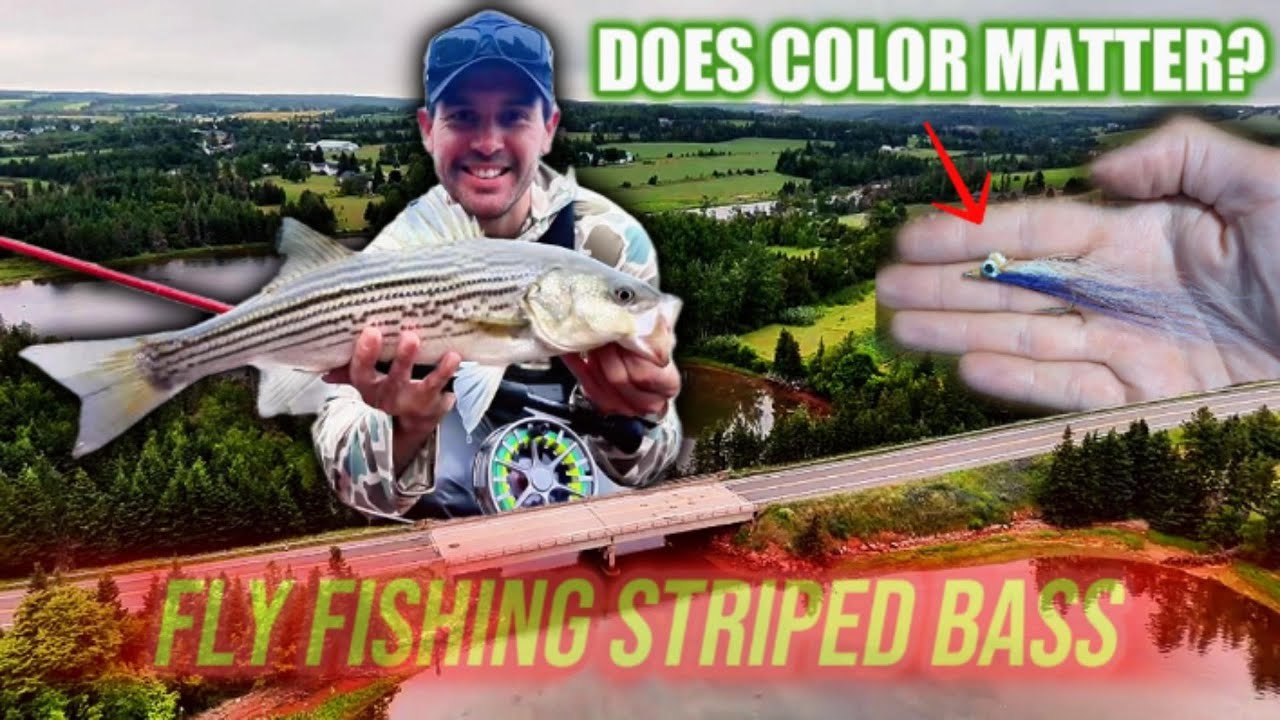 Does Fly Color Matter!? Fly Fishing Striped Bass | Prince Edward Island, Canada