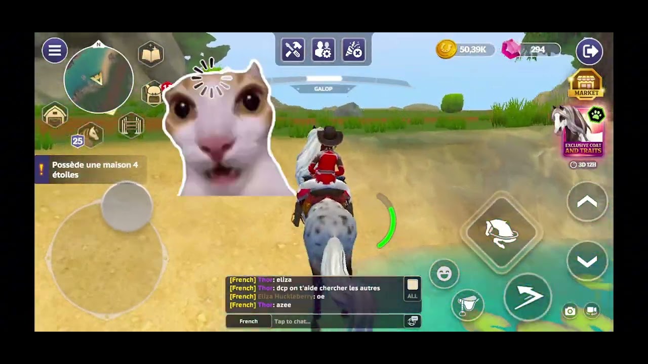 Video Cache Cache sur star equestrian part 1