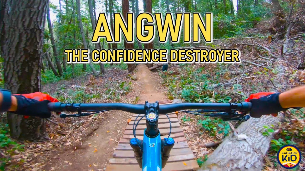 ANGWIN sent my confidence to a new LOW! | Angwin CA
