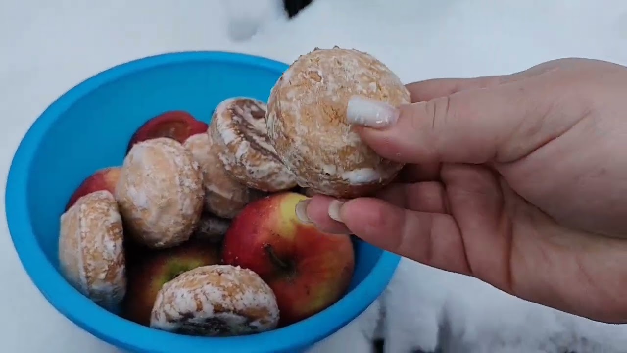 Вечерние дела. Возмущена комментарием. 