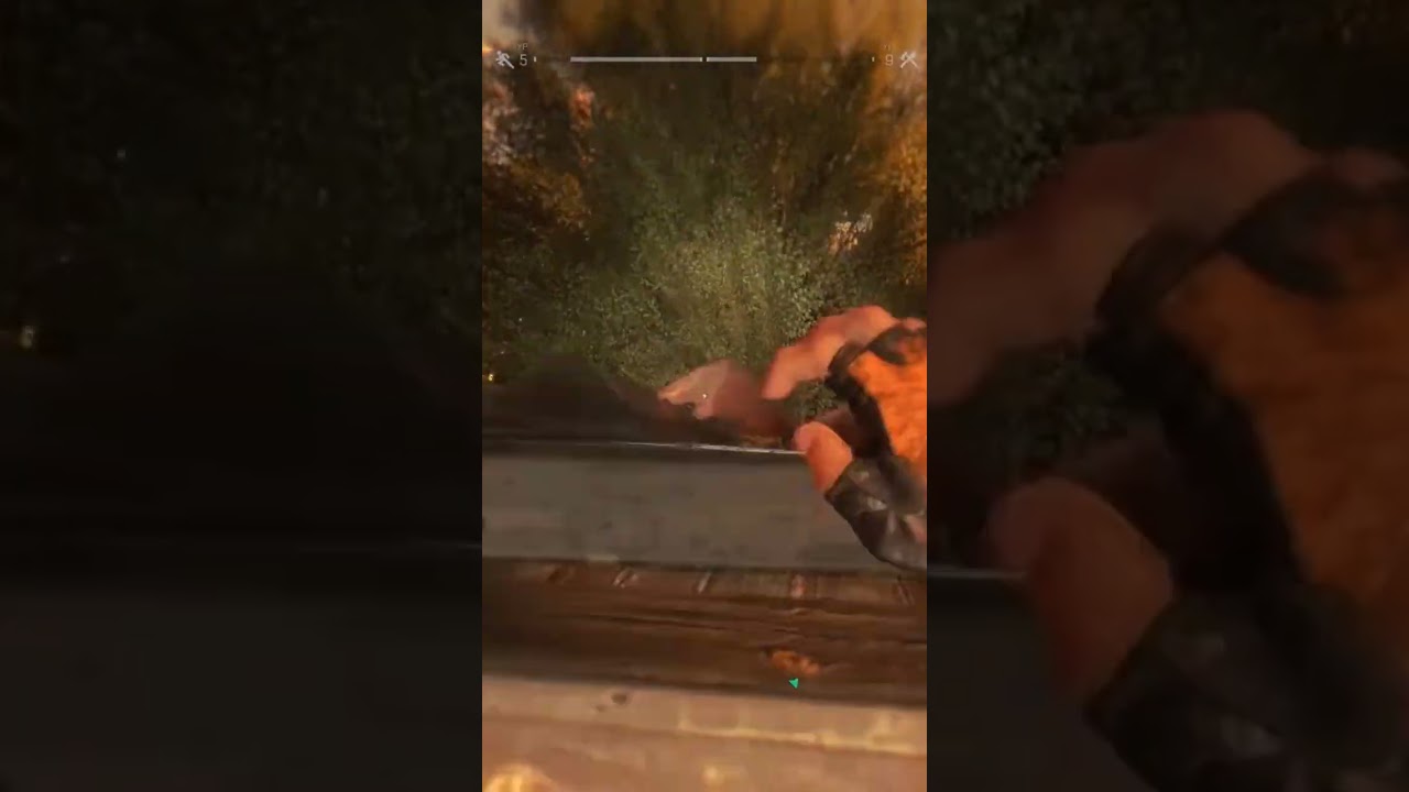 Лучшая поддержка от @Rimpac #dyinglight #malolitrazhka #rimpac