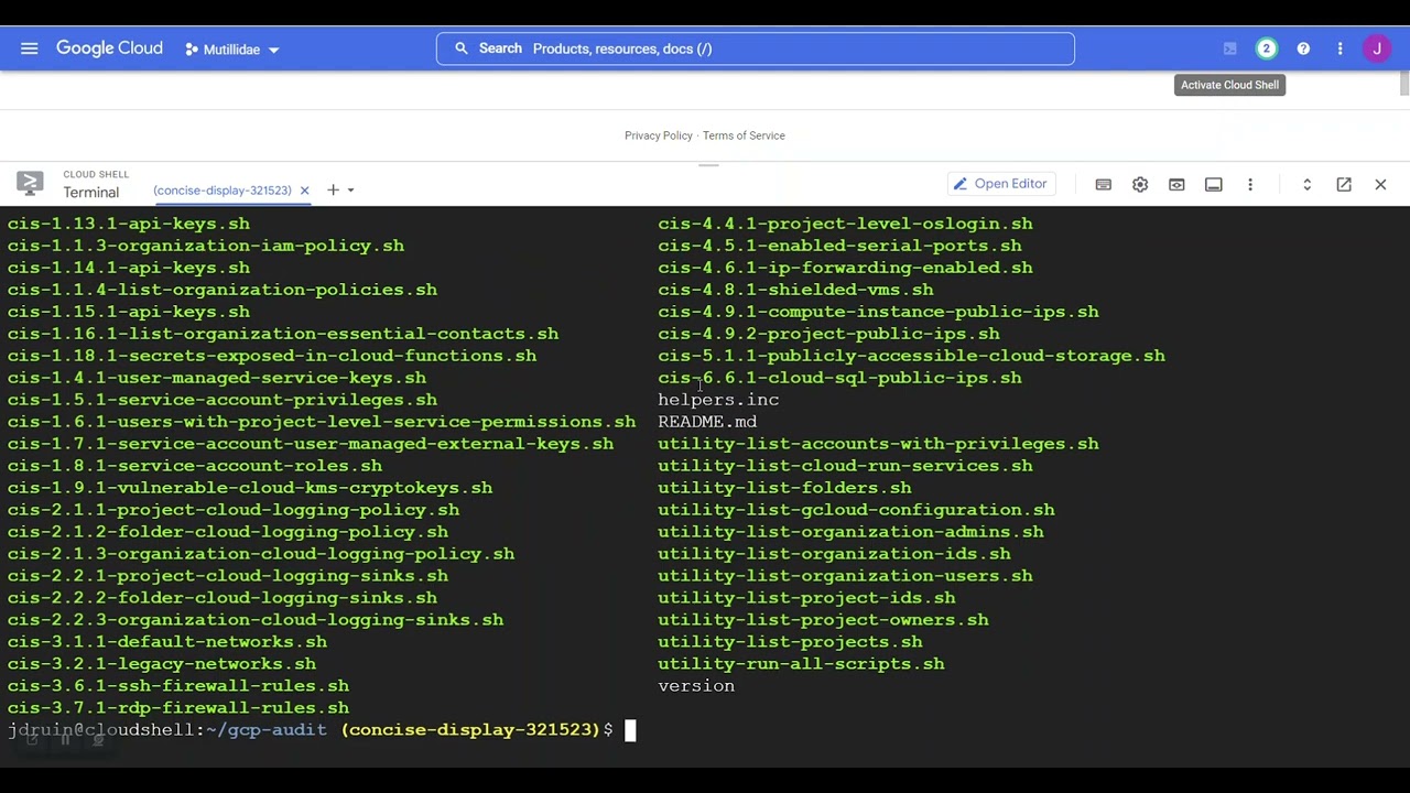 How to Use GCP Audit (Cloud Shell)