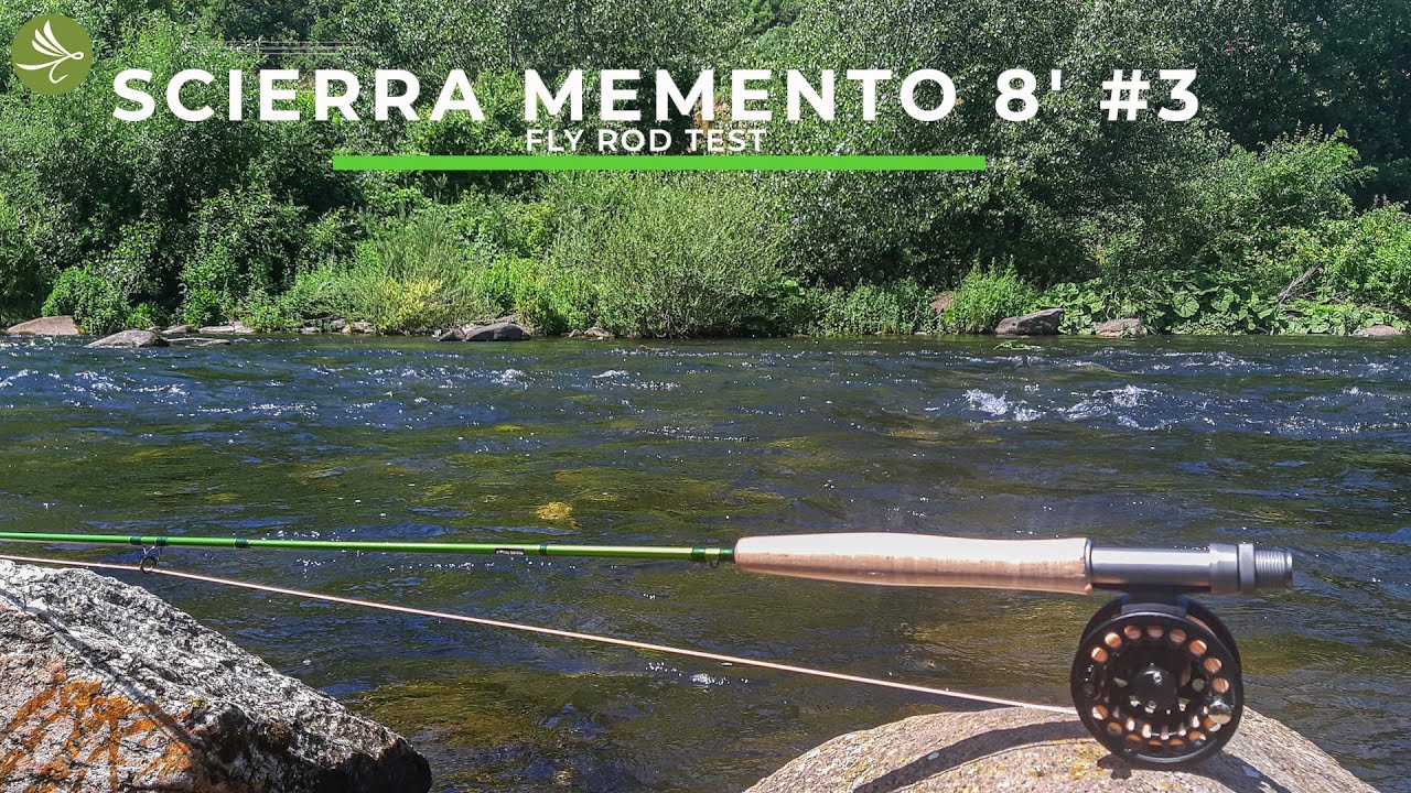 SCIERRA Memento 8' #3 Fly Rod Test