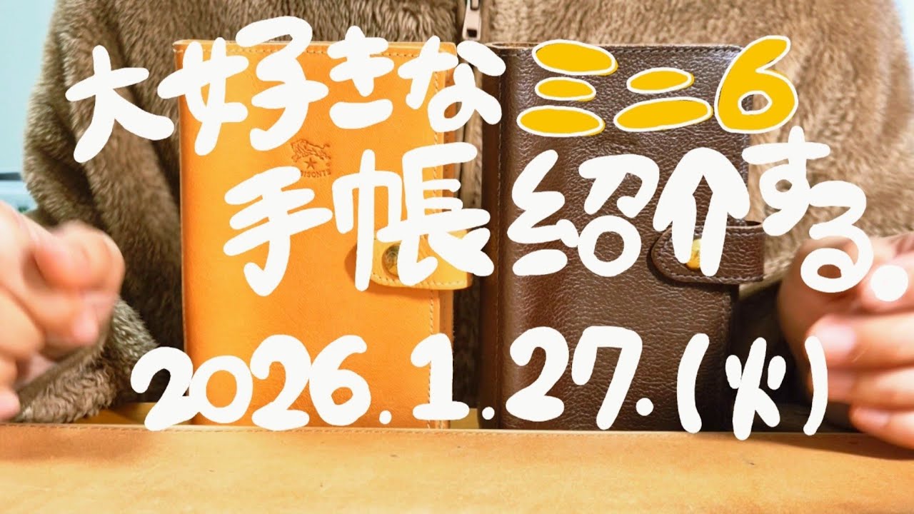 【ミニ6】大好きなミニ6手帳を7冊紹介します😁💘（使用期間はさておきw)