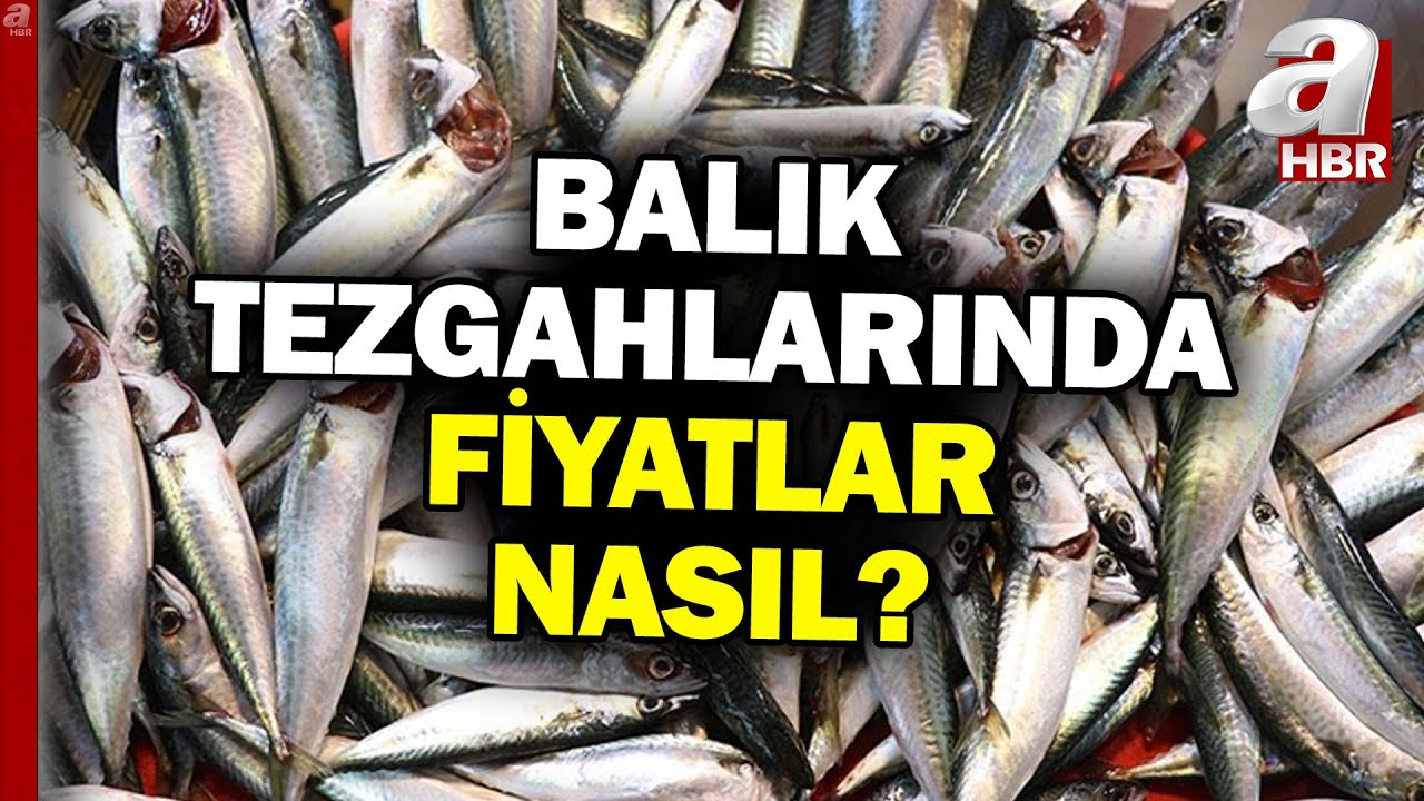 Sezon Başladı, Tezgahlar Balıkla Doldu! Balık Tezgahlarında Fiyatlar Nasıl? | A Haber