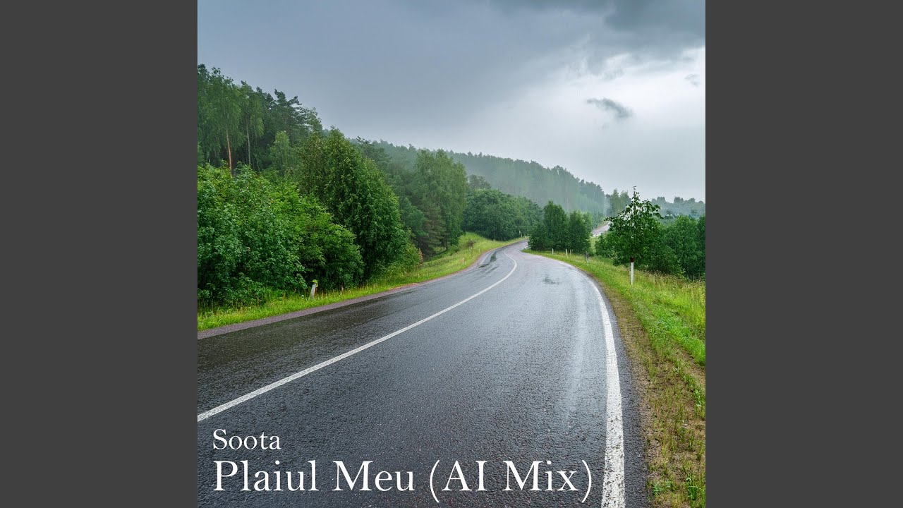 Plaiul Meu