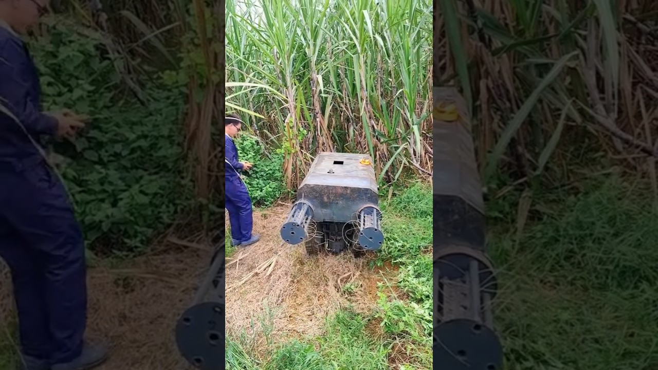 Sugarcane Dry leaves removing Machine