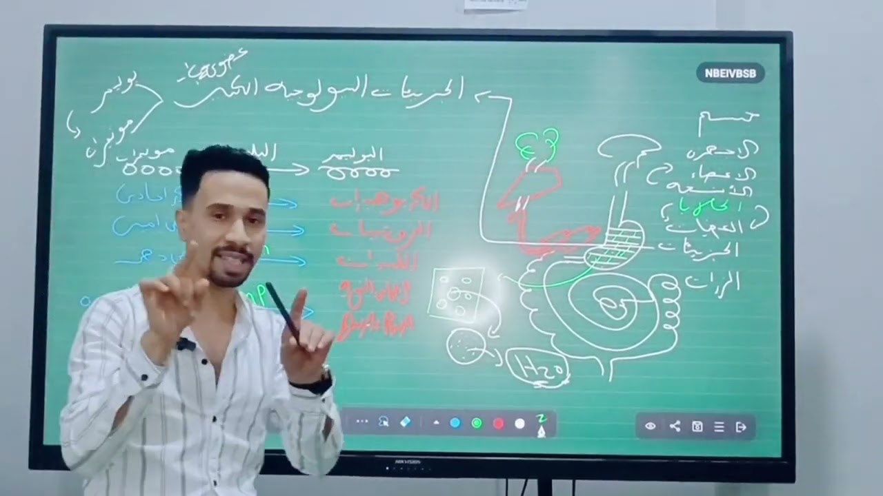 تأسيس احياء 🤍 مستر محمد احمد 😎