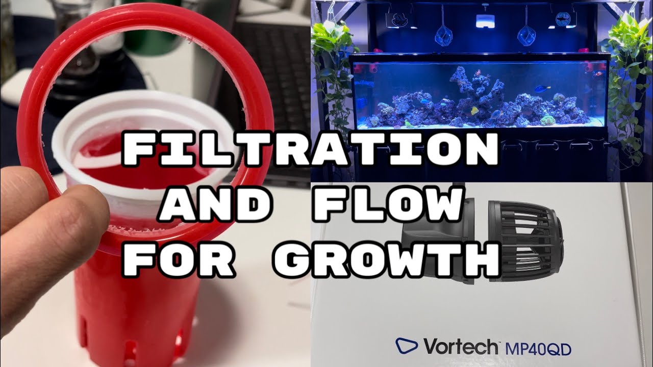 125 Gallon Reef Tank: Filtration and Flow Upgrades