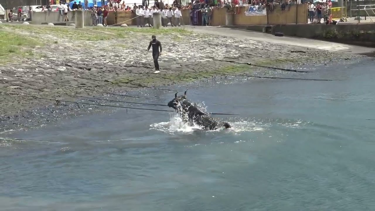 JG   AL   EG   JM no porto pipas   Sanjoaninas