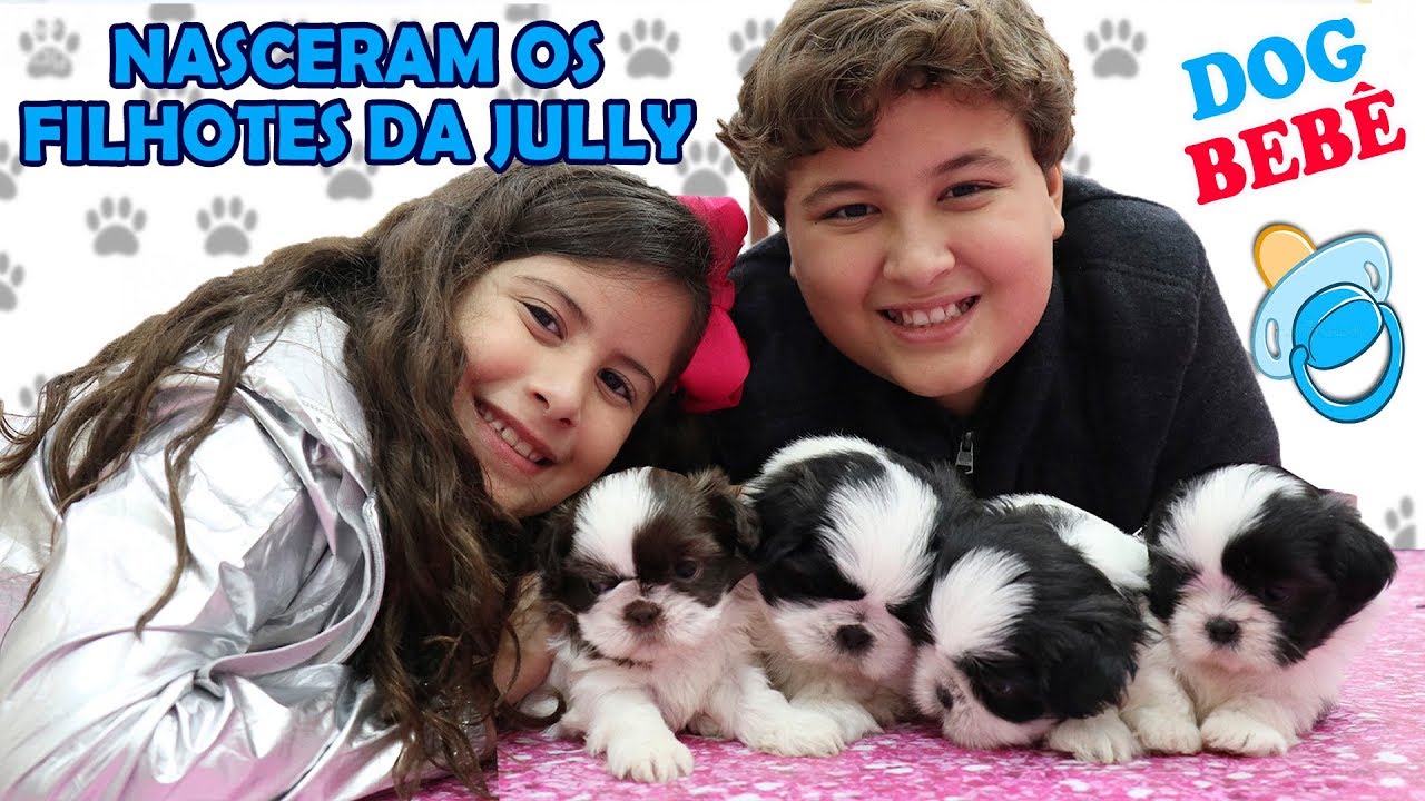 NASCERAM OS FILHOTES DA JULLY - Nossos cachorrinhos bebês ♥
