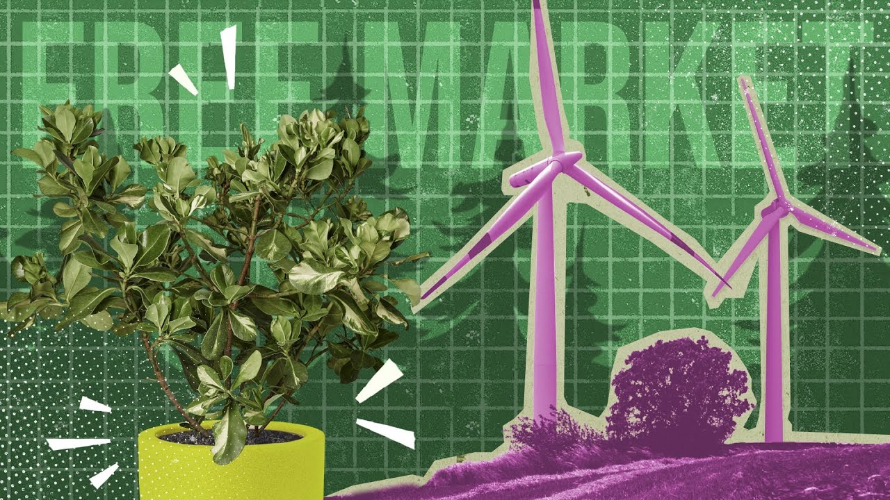6 FREE MARKET Climate Solutions
