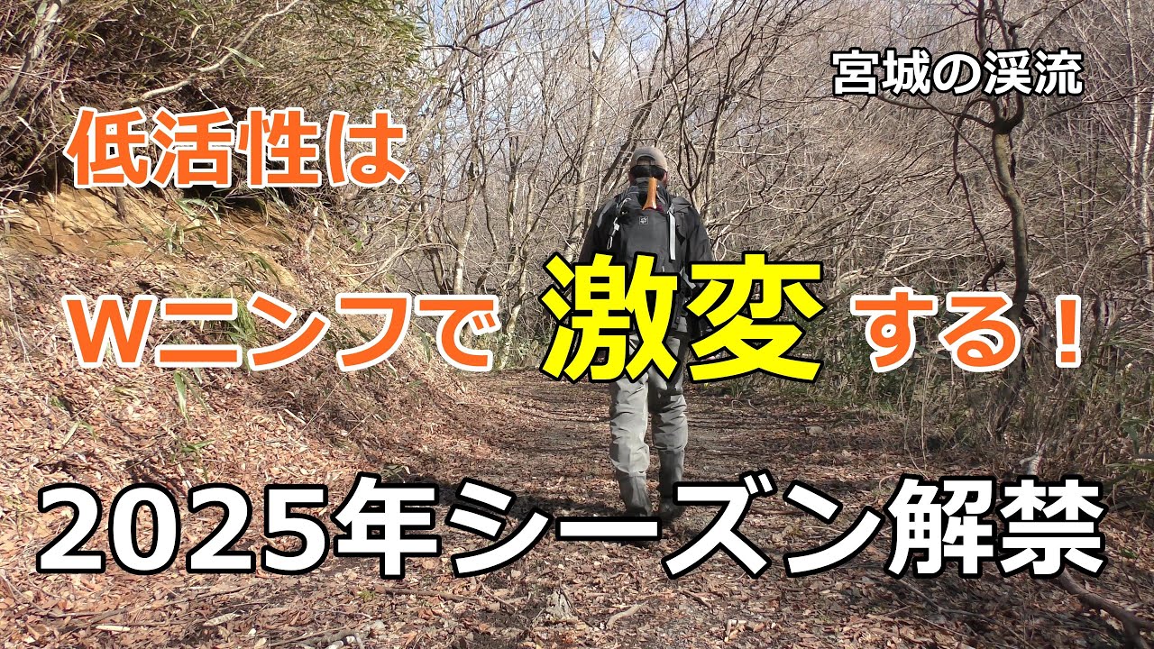 2025年シーズン解禁  /  低活性はWニンフで激変する / 宮城の渓流 / みちのく釣りの旅  ﾌﾗｲﾌｨｯｼﾝｸﾞ渓流釣り(4K) fly fishing