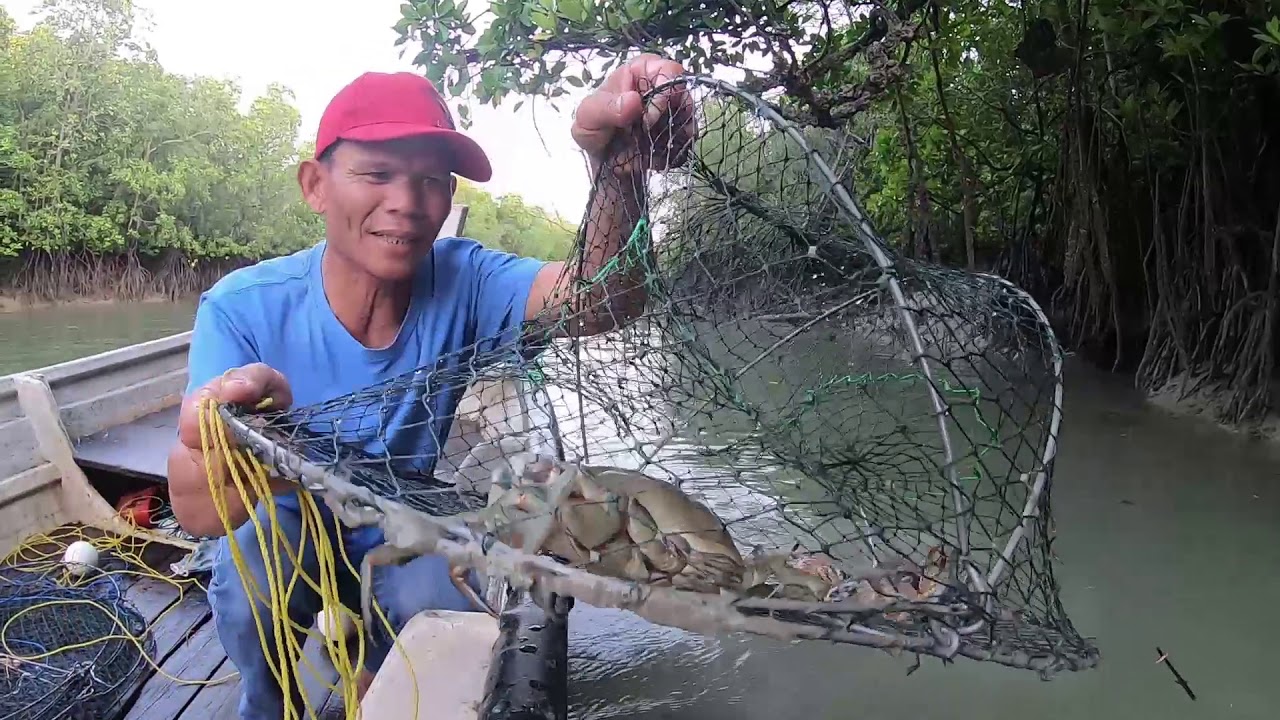 bento ketam menggunakan umpan kepala ayam part2 ep. 79