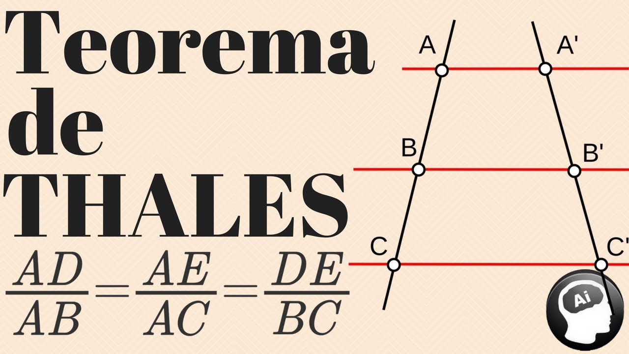 Teorema de Thales, semejanza de triángulos, segmentos proporcionales