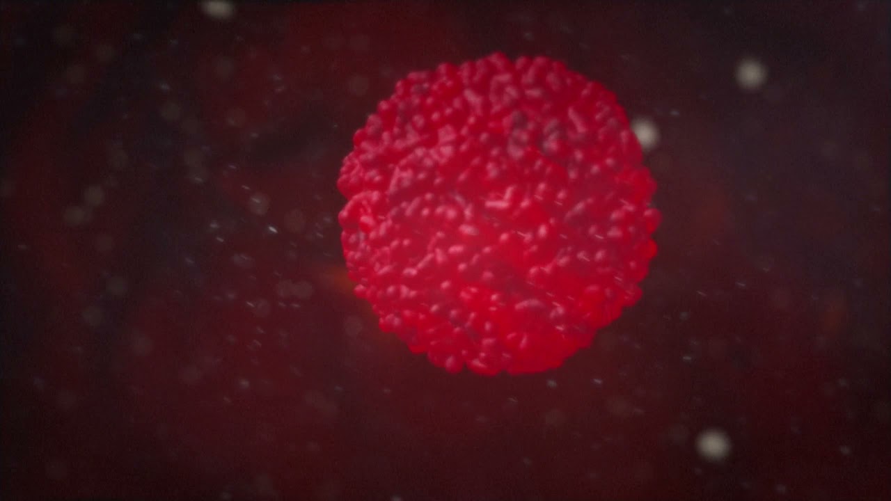 What is virus mutation?