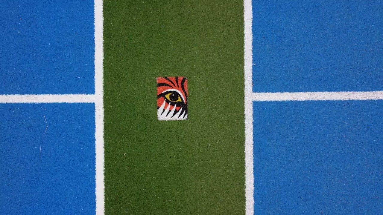 David Street School – TigerTurf New Zealand
