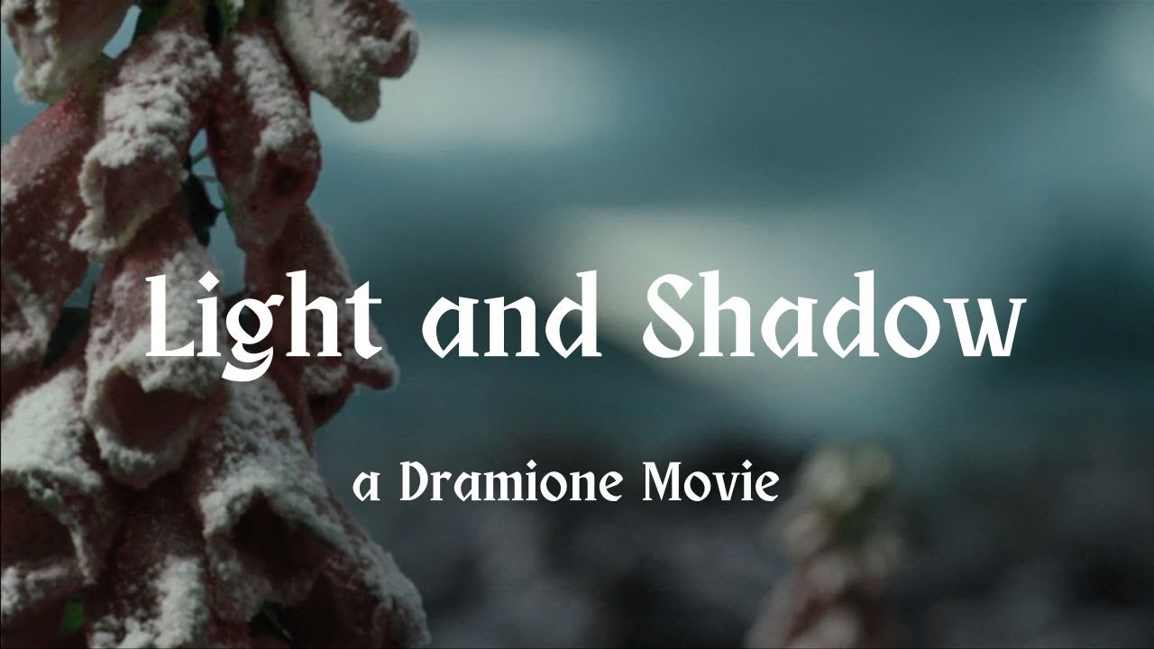 Light and Shadow - a Dramione Movie