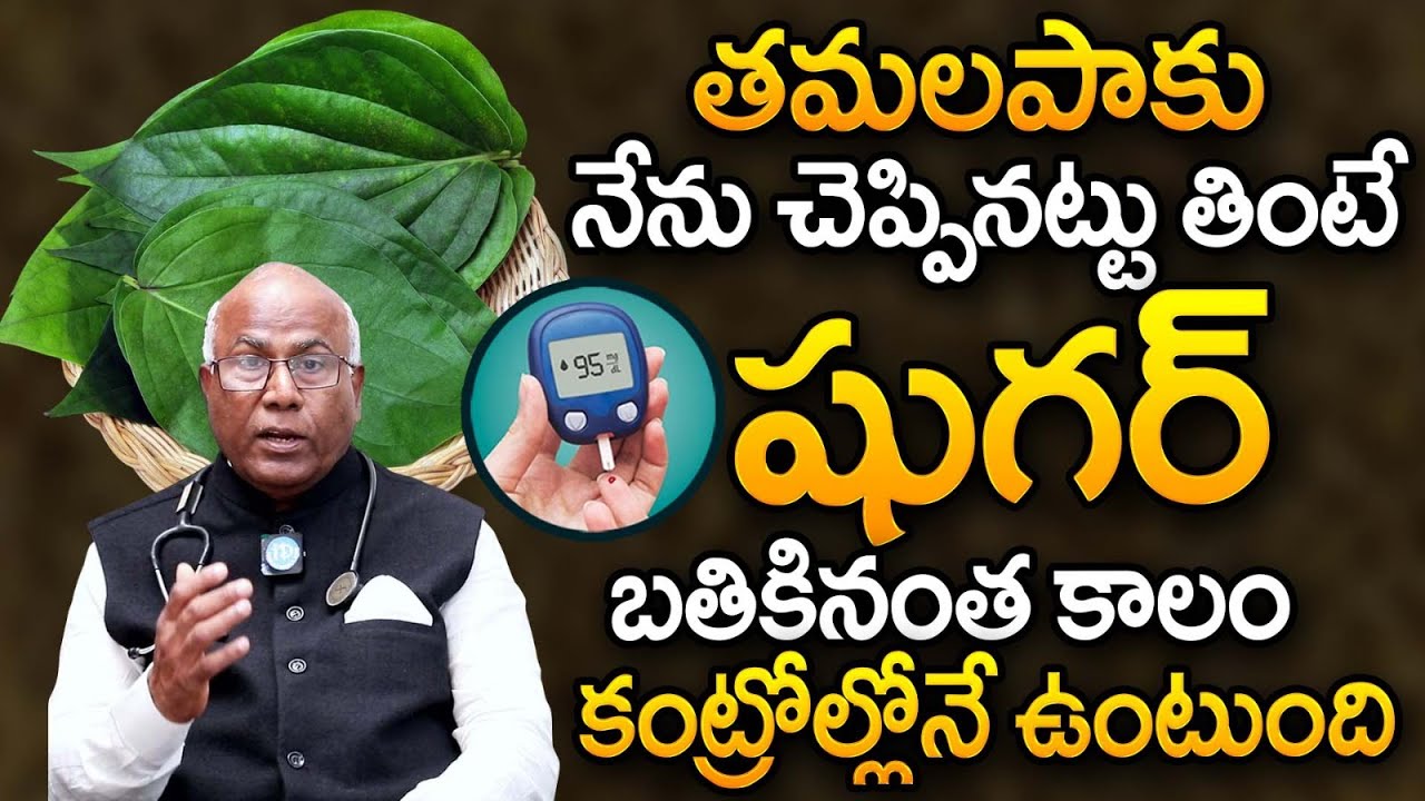 తమలపాకు నేను చెప్పినట్టు తింటే షుగర్ 100 దాటనే దాటదు | Diabetes | Betel Leaves | Dr. CL Venkat Rao