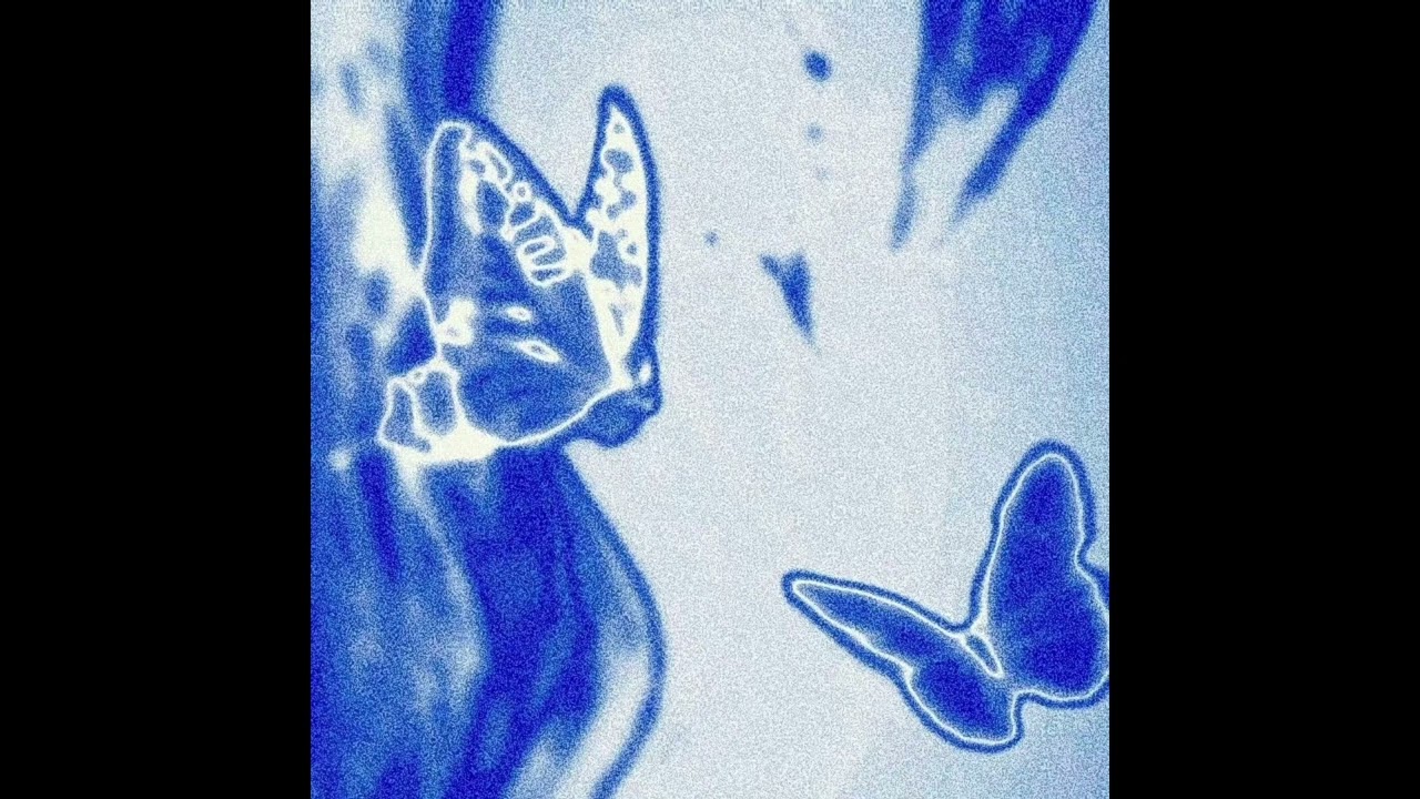 LATIN MAFIA x Sen Senra Type Beat - 