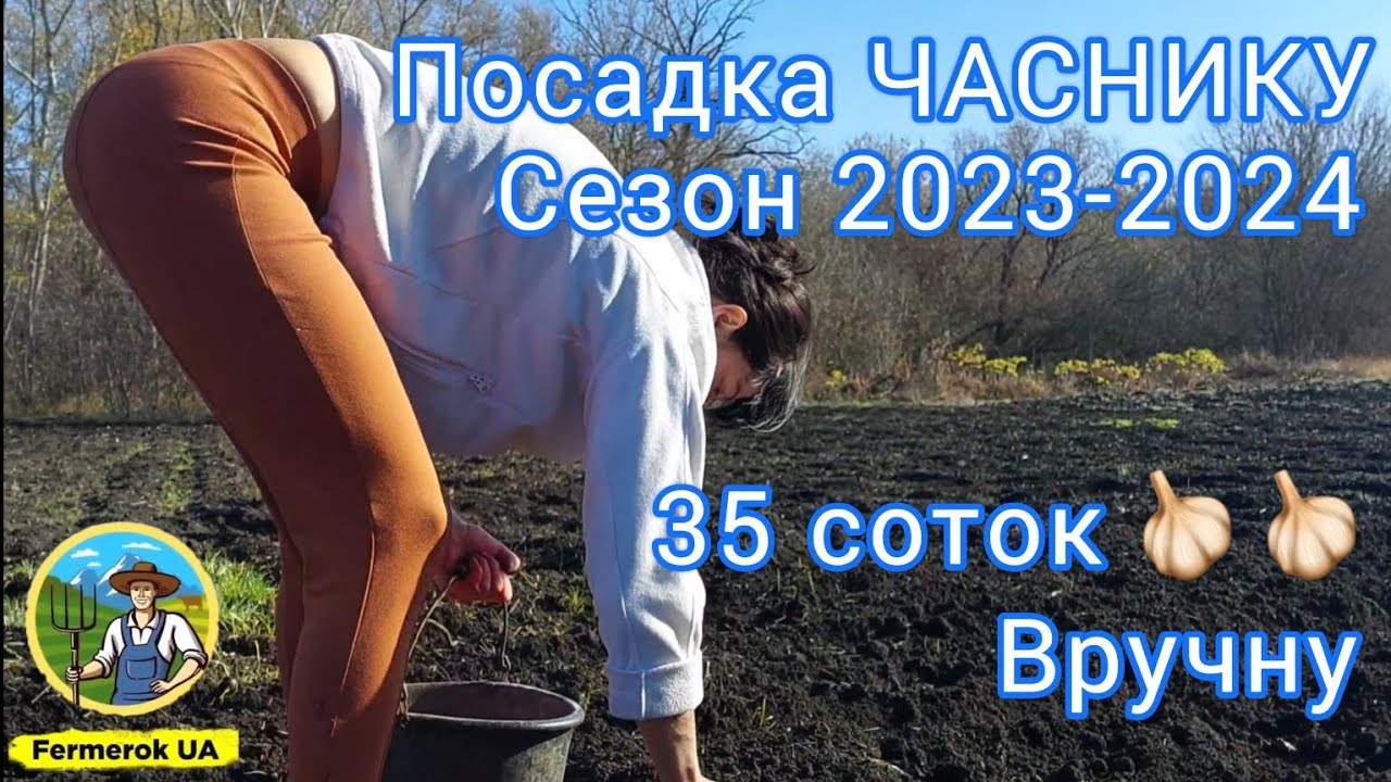 Неймовірна посадка часнику вручну))