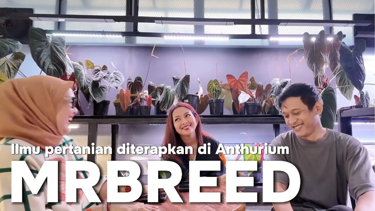 Ilmu Pertanian diterapkan di Mr Breed