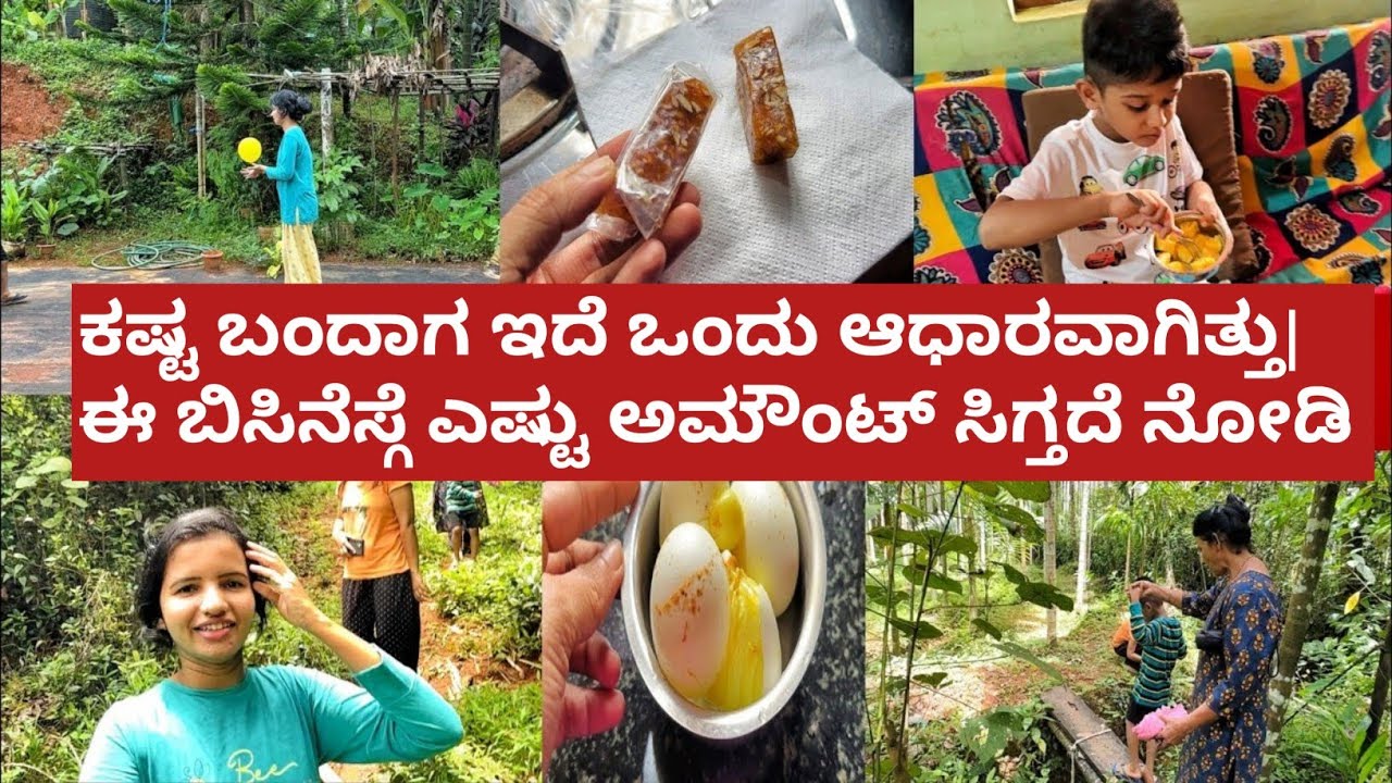 ಕಷ್ಟ ಬಂದಾಗ ಇದೆ ಒಂದು ಆಧಾರವಾಗಿತ್ತು|ಈ ಬಿಸಿನೆಸ್ಗೆ ಎಷ್ಟು ಅಮೌಂಟ್ ಸಿಗ್ತದೆ ನೋಡಿ|Kannada vlog