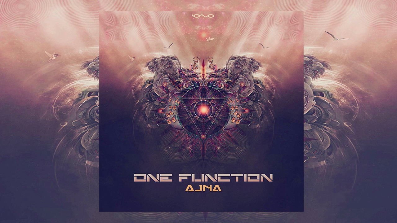 One Function - Young Man on Acid (Original Mix)