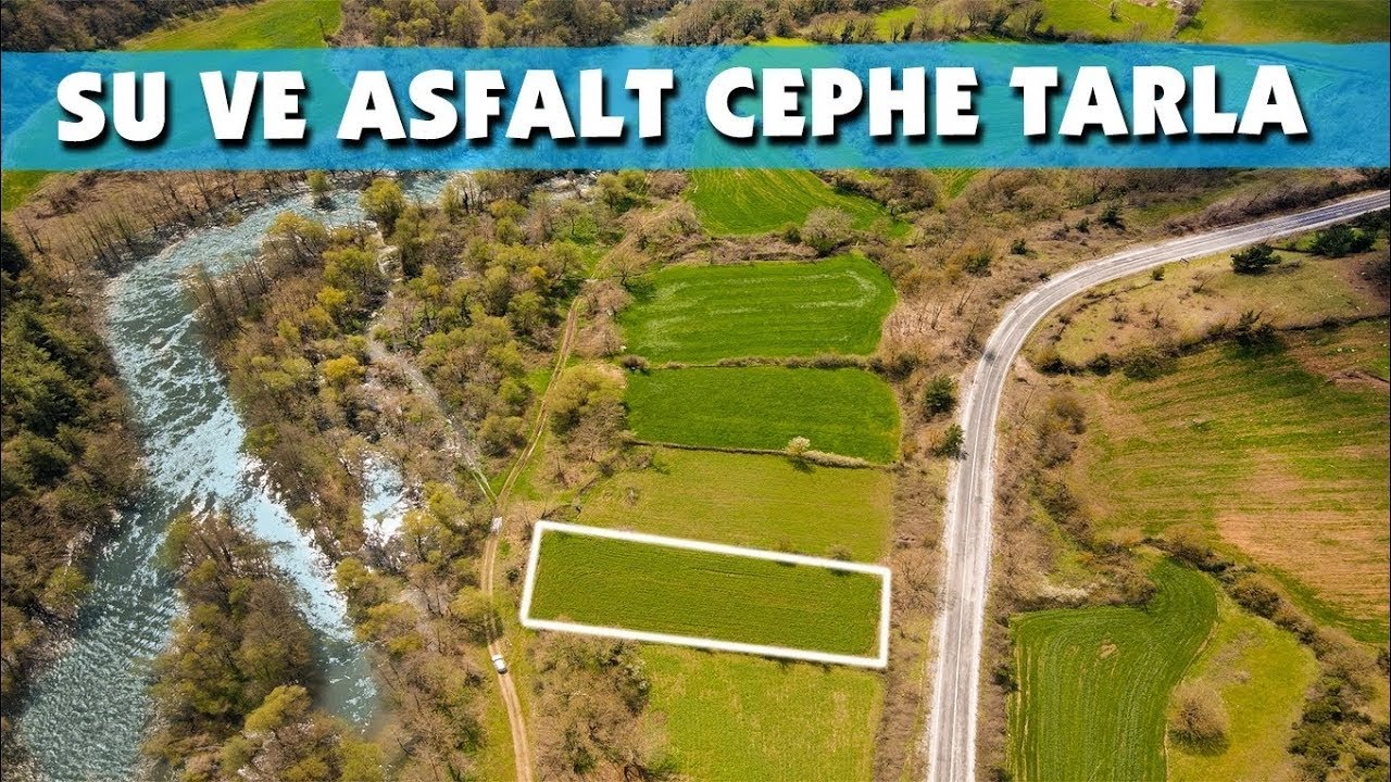 1729 - Doğa Harikası  Asfalta Cephe 1.500 m2 Tarla | YATIRIM FIRSATI