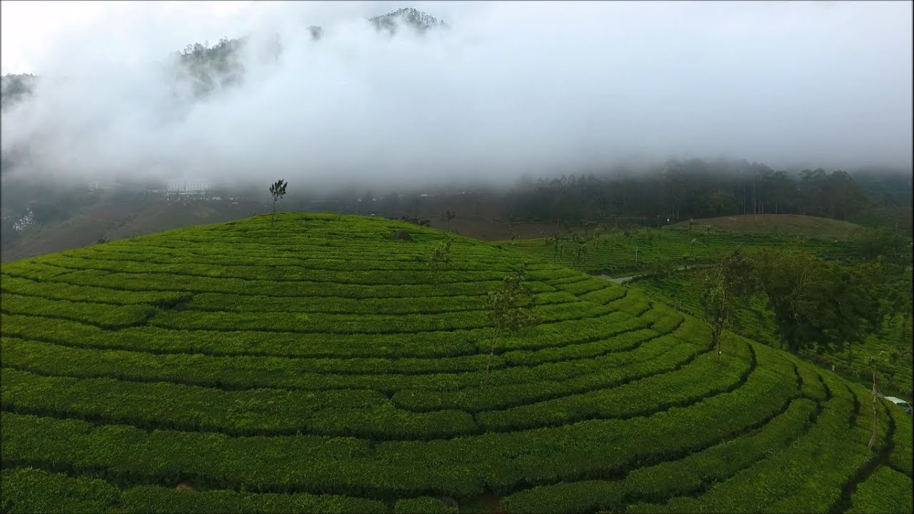 Aerial view of Munnar (2017)- Kerala Tourism HD