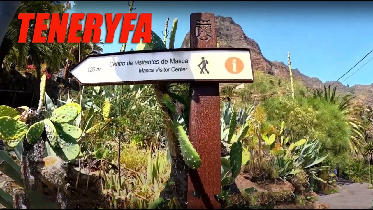 TENERYFA WĄW&Oacute;Z MASCA