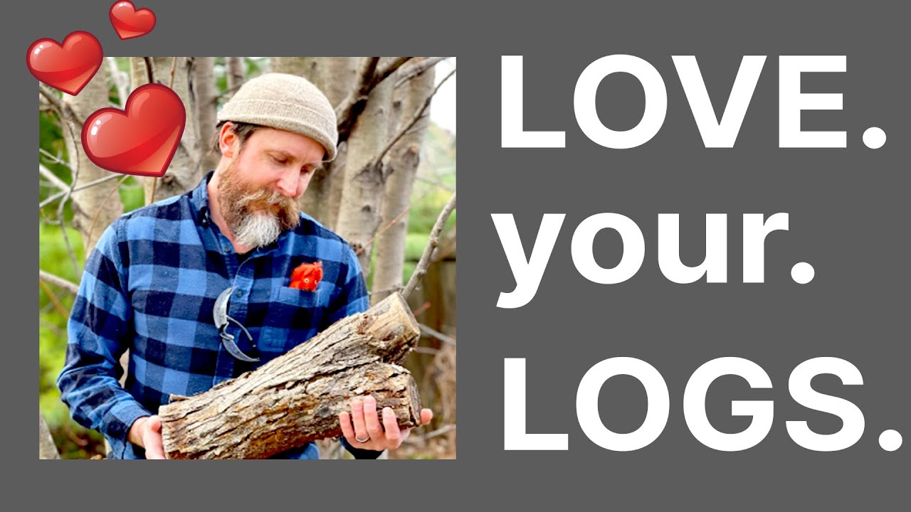 Leveraging your logs with OpenTelemetry