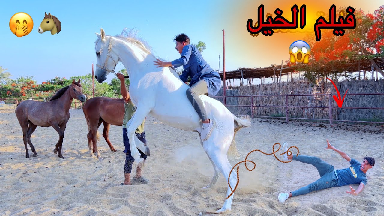 فيلم ( لما تروح تركب خيل أنت وأبوك وخوك الصغير لأول مره ) 🏇😂| علاء حسين