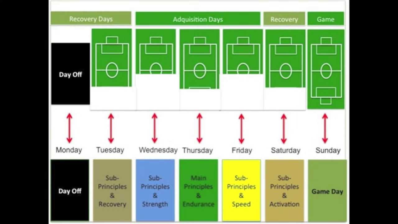 tacticalperiodization